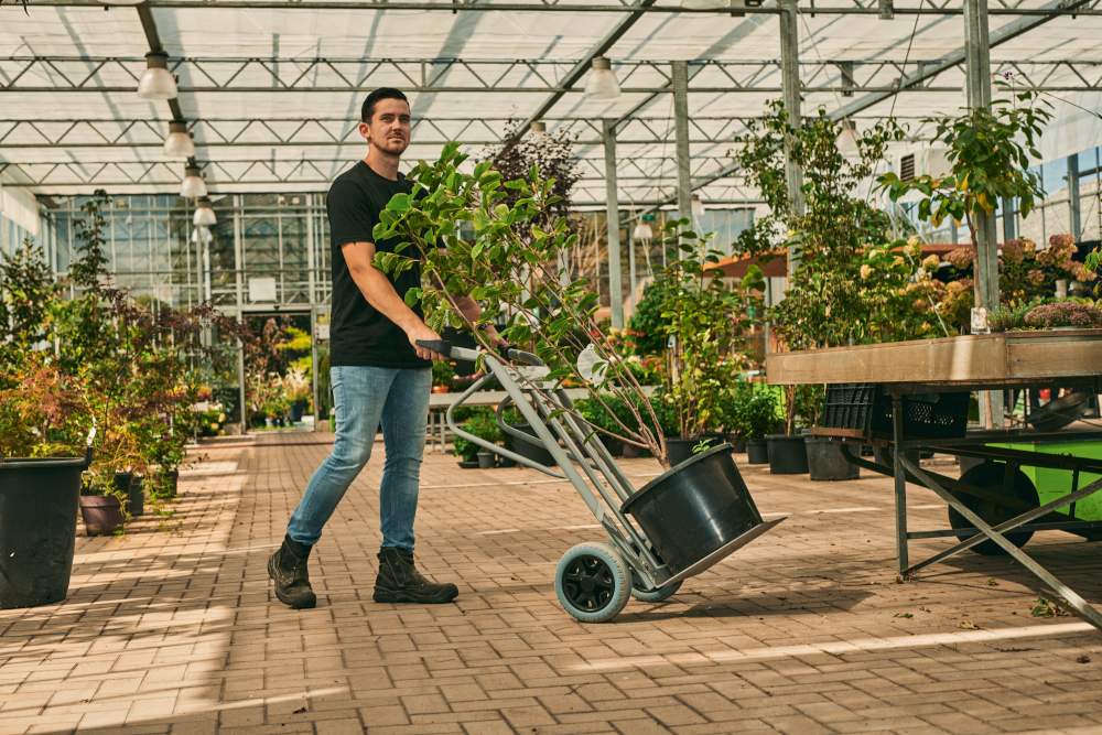 Pflanzkübelkarre für Kübel und Wannen mit 65 und 95 Liter Ø 500 – 600 mm, 350 kg Tragkraft Luftbereifung zusätzliche Abstellfüße Pflanzkübelkarre für Kübel und Wannen mit 65 und 95 Liter Ø 500 – 600 mm, 350 kg Tragkraft Luftbereifung zusätzliche Abstellfüße